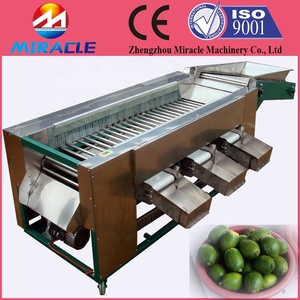 Selezionatrice di olive in acciaio inossidabile per dimensione/selezionatrice per olive verdi/macchina per classificare le olive per dimensione - Product Image 3