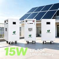 Batterie LiFePO4 15 kWh avec garantie de 10 ans, 51,2 V 300 Ah, montage mural, stockage d'énergie domestique, BMS pour système solaire