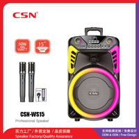 Haut-parleur trolley 15 pouces CSN-WS15, modèle exclusif, 50W RMS, avec anneau lumineux RGB, pour karaoké extérieur, OEM ODM