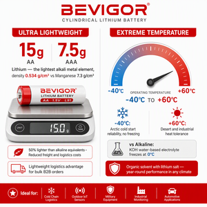 <span class=keywords><strong>Batterie</strong></span> primaire au lithium BEVIGOR AA taille ER14500 1,5V 3000mAh, durée de vie de 10 ans, pour compteur électrique, batteries LiFePO4 - Product Image 6