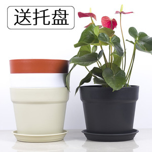 Pot de fleurs en résine, style classique en terre cuite rouge, épaissi, avec plateau, pour plantes d'intérieur, Pothos, verdure - Product Image 1