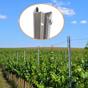 Fornire metallo vigneto Post professionale zincato a caldo Post dalla cina - Product Image 5