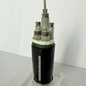 Câble d'alimentation à 2 conducteurs en aluminium basse tension de haute qualité NYY/<span class=keywords><strong>U1000</strong></span>/<span class=keywords><strong>R2V</strong></span>, isolé en PVC, ignifuge, gainé en PVC, pour usage en construction - Product Image 1