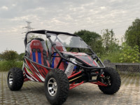 Kart à pédales EGS 180cc monocylindre 4 temps refroidi par huile, double siège, buggy des dunes chinois, freins à disque hydrauliques – Vente directe usine