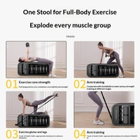 EM Fitness Banc de Musculation Multifonctionnel Pliable en Acier avec Rangement 2-en-1 : Chaise d'Entraînement et de Gymnastique à Domicile pour Exercices de Core