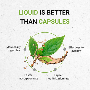 Gouttes liquides de Gymnema Sylvestre personnalisables, complément naturel pour la santé globale, boisson liquide orale à base d'extrait de feuilles de Gymnema pour adultes - Product Image 4