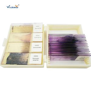 Accesorios para Microscopio a <span class=keywords><strong>Precio</strong></span> Competitivo, Portaobjetos Preparados de Hematología, Portaobjetos de Hematología para Educación, Portaobjetos Preparados para Microscopio - Product Image 3