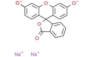 <span class=keywords><strong>Fluorescéine</strong></span> soluble dans l'eau jaune acide 73 CAS 518-47-8 pour la teinture et l'antigel de stylo de marqueur d'encre - Product Image 3