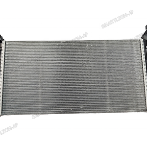 Radiateur de réservoir d'eau pour Renault <span class=keywords><strong>LAGUNA</strong></span> LATITUDE 214100052R - Product Image 4