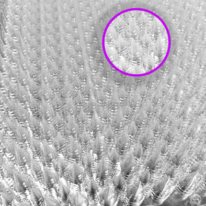 Tapis en plastique transparent à pointes pour plantes de tapis de canapé d'intérieur Anti chat chien mâcher anti-rayures découpable conception personnalisée - Product Image 3