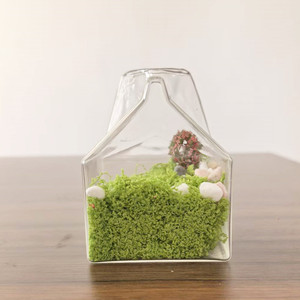 Terrario de Vidrio Transparente con Diseño de Caja de Leche, Forma Cuadrada, Florero de Mesa para Decoración de Interiores del Hogar - Product Image 6
