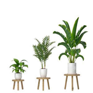 Wooden <b>Stool</b> Set Natural <b>Wood</b> Color Minimalist Design Living Room Furniture Home <b>Stool</b> And Ottoman - Product Image 5