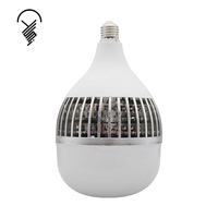 Éclairage industriel Radiateur à ailettes en aluminium Haute luminosité Haute puissance 80W Prix bas Ampoule
