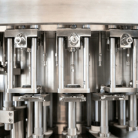 Machine d'embouteillage de boissons gazeuses CO2 1500 BPH à performance stable, rinçage, remplissage et capsulage électriques automatiques de haute précision pour petites entreprises