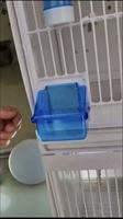 Cage d'élevage pour canaris en résine ABS avec séparateur, ensembles multiples connectables, cage à oiseaux d'intérieur pour observation
