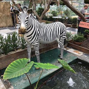 जीवन के आकार के राल फाइबरग्लास ज़ेबरा प्रतिमा उद्यान उद्यान सजावट; सुरुचिपूर्ण पशु मूर्तिकला - Product Image 5