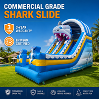 Toboggan gonflable à thème tête de requin 3D, double piste, pour fêtes d'été en extérieur pour enfants, en PVC avec souffleur