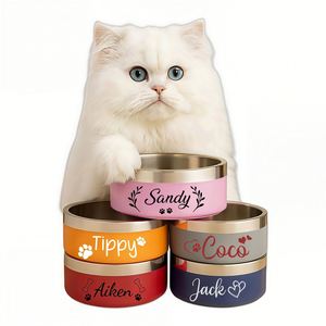 Bol pour chien avec nom, bol à eau antidérapant en acier inoxydable, distributeur de nourriture facile à nettoyer pour chats et chiens - Product Image 3