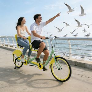 Vélo familial écologique, vélo <span class=keywords><strong>cargo</strong></span> <span class=keywords><strong>tandem</strong></span>, 2 personnes, antirouille, capacité de charge stable, pour les promenades en parc - Product Image 6