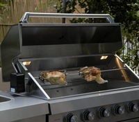 Barbecue portable, appareil de cuisine extérieur en acier inoxydable, grill, cuisine extérieure, île