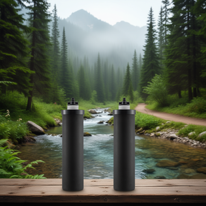 Lot de 2 filtres de purification d'eau d'extérieur, remplacement pour système de filtration par gravité, cartouche de charbon actif - Product Image 2