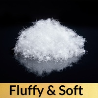 Coussins de canapé et oreillers en duvet de canard blanc lavé, 2-4 cm, propres et sans odeur ; Rembourrage en duvet/plumes pour sièges, vente en gros