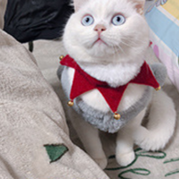 Écharpe de Noël pour animaux de compagnie en velours doux avec clochette, accessoire réglable à nouer, ornement de Noël et du Nouvel An