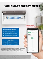 Tuya TYSH avec compteur Zigbee interrupteur de disjoncteur intelligent 1p 40a WiFi Mini commutateur de télécommande sans fil pour maison intelligente