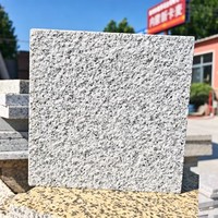 Carreaux de granit blanc sésame, surface sablée moderne, durables, découpés sur mesure, solutions de design graphique, garantie 5 ans – Approvisionnement direct usine