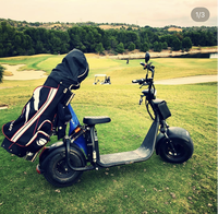Trottinette Électrique Urbaine Pliable Intelligente Étanche 2000W 60V pour le Marché Australien, Autonomie 60-100km