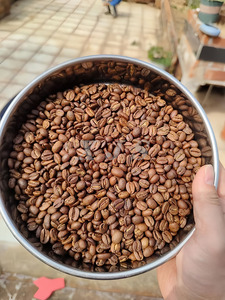 Torréfacteur à café électrique Carburant Gaz Feu direct Noix Grain Soja Haricots Arachide Sésame Torréfaction Cuisson Machine 110V 220V - Product Image 5