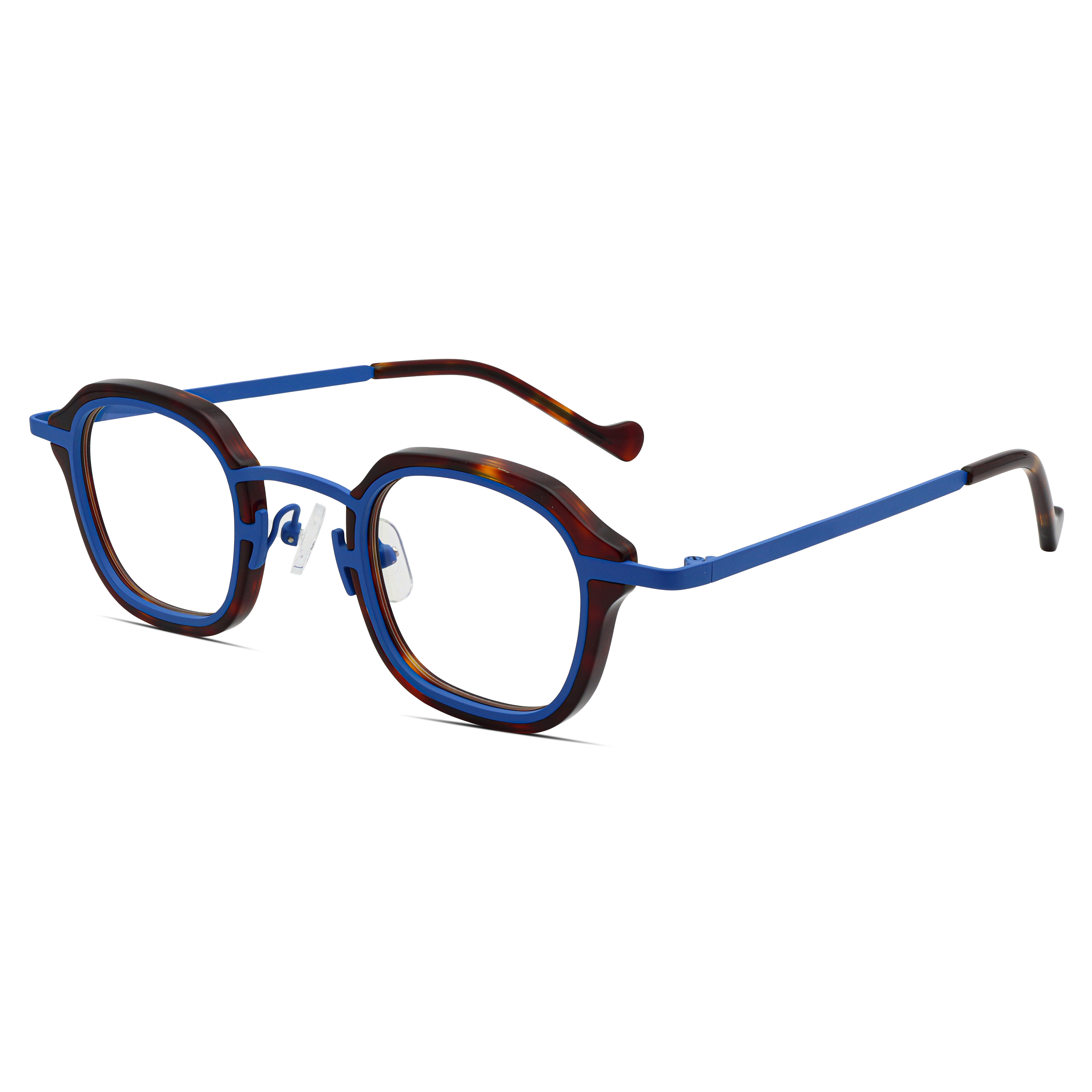 Tartaruga blue02