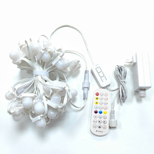 Ngoài trời RGB LED Pixel ánh sáng IP67 cảnh quan giáng sinh trang trí cho xây dựng vườn kỳ nghỉ nhà bên ngoài - Product Image 6