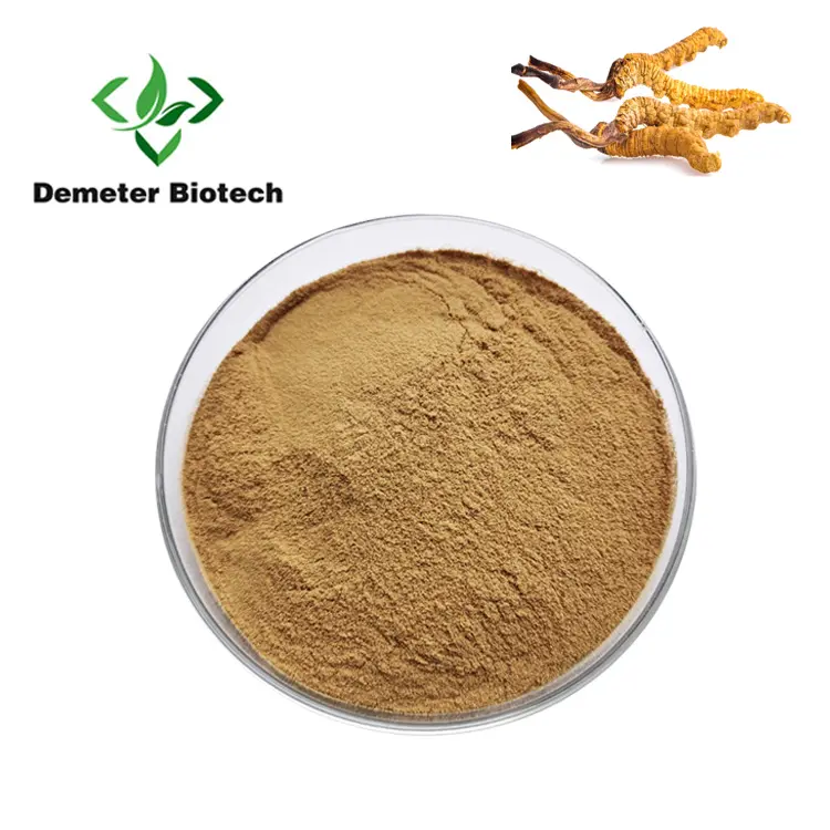 Doğal Cordyceps Sinensis Cordyceps özü tozu