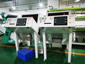 Wenyao óptico frutos secos máquina de clasificación de color tomate seco color Soter en venta - Product Image 3