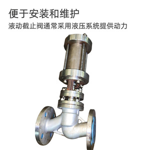 วาล์วไฮดรอลิก 316L สแตนเลส DN100 สองทาง 400 บาร์ 600 ลิตร/นาที - Product Image 4