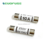 UK Plug Top British Fusible Bs1362 Céramique 1A 3A 5A 10A 13A 20A 240V 250V 6*25mm Haute Classe BASSE Tension 1A-20A 6x25mm