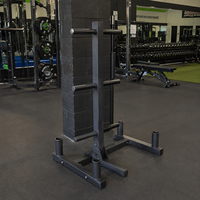 Support de rangement vertical professionnel pour plaques de musculation SK – Équipement de gym commercial – Porte-plateaux de musculation – Fabrication usine