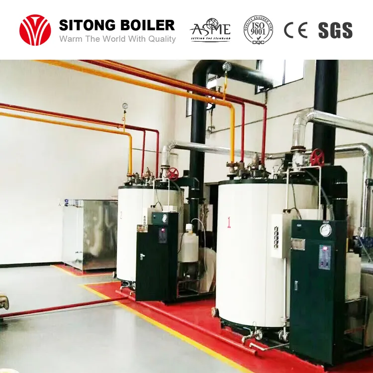 Precio para la caldera automática de pequeña capacidad 100kg 200kg 500kg Caldera de vapor de biomasa