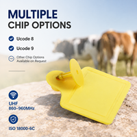 Étiquettes d'oreille RFID UHF professionnelles 860-960 MHz avec distance de lecture de 1 à 5 m pour l'identification des animaux (taure, veau, agneau, truie, porc) – Solutions d'identification pour l'élevage