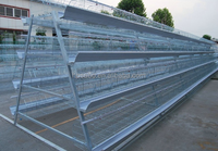 Cage pliable pour poulets 40x40, conception de ferme avicole, batterie, cage à poules pondeuses, vente de cages à volailles pour ferme au Ghana au prix d'usine