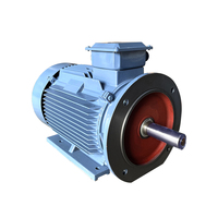 Moteur asynchrone triphasé IE4 de 3-220 kW pour réducteur SWE 220V/380V/660V AC Montage sur panneau IP54/IP55/IP56/IP65 50/60Hz
