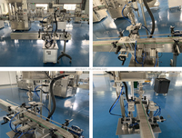 Machine de remplissage et de bouchage de petites bouteilles entièrement automatique Ligne de production pour savon liquide Détergent à lessive Bouteille d'eau de Javel