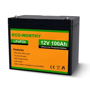 Eco-worthy New Batteries Buy Lifepo4 Bms Cycles Deep 12v 100ah bms batteries Lithium Battery