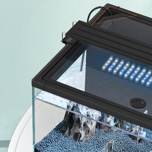 Bureau écologique eau herbe aménagement paysager ménage poisson ornemental verre Ultra-blanc petit salon souper réservoir en verre blanc - Product Image 5