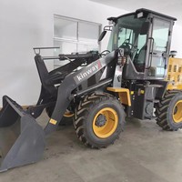 Minicargadora Retroexcavadora Kinway, Capacidad de Carga de 3000 kg, Certificación CE y EPA, Diésel, para Jardinería, Excavación, Transporte e Ingeniería