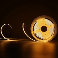 Bande LED flexible extérieure personnalisable, 12V 24V 480 LED, étanche, 5m, COB, adressable