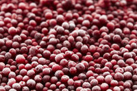 Iqf Bevroren Rode Bosbessen Premium Diepvriesfruit Voor Heerlijke En Voedzame Recepten Oem/Groothandelsdiensten
