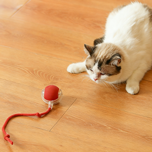 Juguete Interactivo Inteligente para Gatos, Pelota con Accesorios para Cola, Rueda sobre Alfombra, Rápido e Indestructible, Nuevo Diseñ<span class=keywords><strong>o</strong></span> en Oferta - Product Image 2