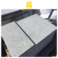 BOTON STONE Pavage en pierre naturelle Dalles d'extérieur Carreaux d'escalier Escalier en granit avec rainures